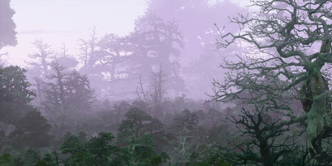 Colorful fantasy forest. Abstract imaginary plants. Vivid concept art scenery. 2d illustration.