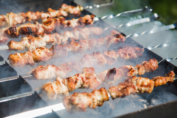 grilled meat on the grill
