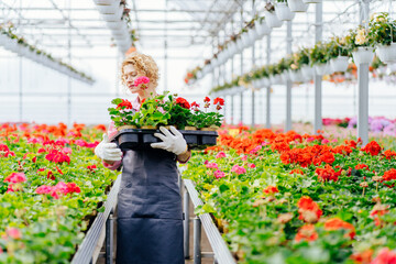 Beautiful female gardener in uniform carrying plants in box at orangery or greenhouse.