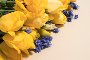 Beautiful yellow tulip flowers with a place for text copy space for the inscription. Mother's Day greeting card, teacher's day, anniversary