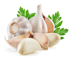 Ripe garlic with leaves. Organic garlic isolated on white background. Taste garlic with leaf. Garlic With clipping path