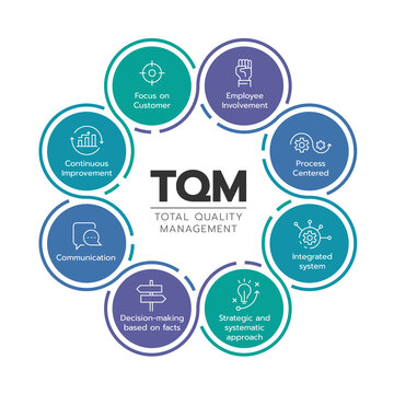 TQM (total quality management) diagram chart with 8 icon module in circle sign vector design