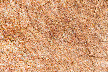 A macro close-up of a scratched wood background