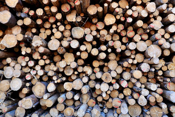 A heap of timber