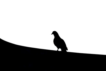 silhouette of the dove on the roof isolated on white background