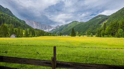 Fototapeta na wymiar Landschaft in Kärnten, Österreich hinter einem Stacheldrahtzaun bzw. Weidezaun