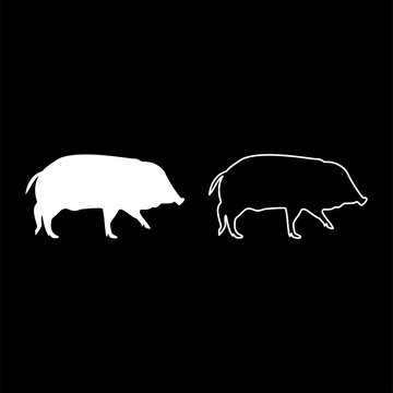 Wild boar Hog wart Swine Suidae Sus Tusker Scrofa silhouette white color vector illustration solid outline style image