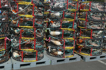 Crab trap floats in the Newport, Oregon