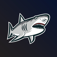 Shark Mascot Illustration Logo Template