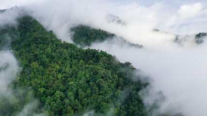 Aerial view of a village in the lush green rain cloud cover tropical rain forest mountain during the rainy season in the northern Thailand