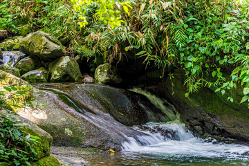 Small cascade and mossy rocks among the vegetation of the tropical forest in its natural state in the region of Itatiaia in the state of Rio de Janeiro, Brazil