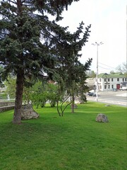 park in the city Tiraspol