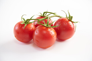 ミニトマトを白背景で