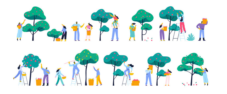 People gathering fruits in orchard or at farm flat vector set