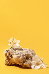 Background for cosmetic products of natural yellow color. Stone podium with white flowers. Front...