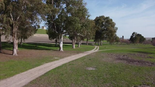 Drone flying low in green field park on beautiful summer sunny day with orange trees, Seville Spain