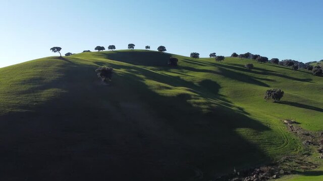 Aerial drone shot in beautiful calm meadow on sunny summer day, Seville Spain