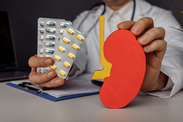 Doctor is holding a model of kidney and pills. Healthcare concept