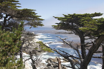 Obraz premium San Francisco, CA