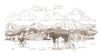 Cows grazing on meadow. Hand drawn farm land with barn vector illustration. Rural landscape, village vintage sketch