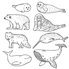 Arctic animals hand drawn vector illustration