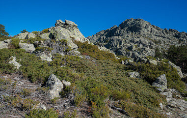 High-mountain scrublands in Guadarrama Mountains National Park, province of Madrid, Spain