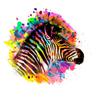 zebra with creative abstract element on  background