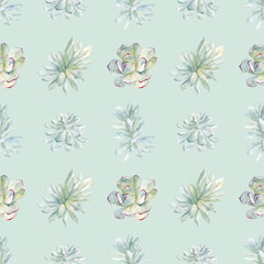 watercolor seamless pattern from succulents. hand-drawn exotic plants and multi-colored pebbles on a light background. Suitable for wallpapers, backgrounds, wrapping paper, postcards.