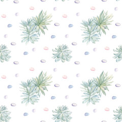 watercolor seamless pattern from succulents. hand-drawn exotic plants and multi-colored pebbles on a light background. Suitable for wallpapers, backgrounds, wrapping paper, postcards.
