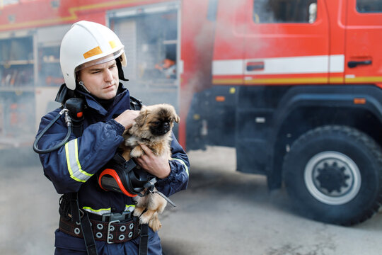 Firefighter In Fire Fighting Operation. Portrait Of Heroic Fireman In Protective Suit And White Helmet Holds Saved Dog In His Arms