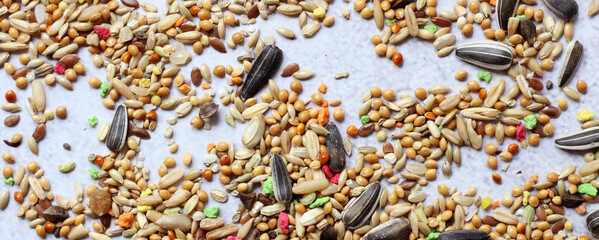 A mixture of grains for birds on a grey background