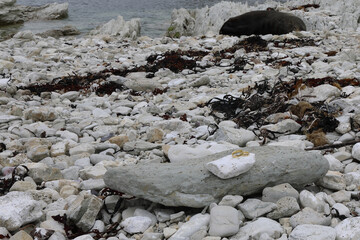 Eheringe / Wedding rings /