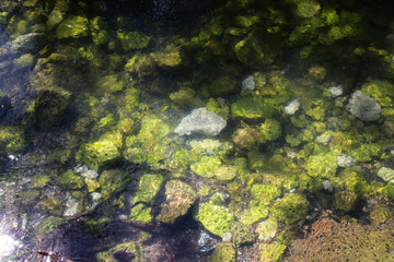 Top view image of clear water in river and green rocks