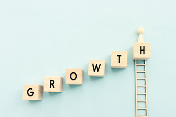 concept of growth success process