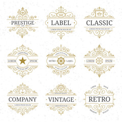 Vintage luxury logo template set with flourishes elegant lines