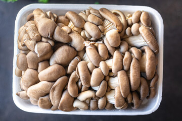 oyster mushroom raw mushrooms meal snack diet vegan or vegetarian food copy space food background rustic. top view keto or paleo diet