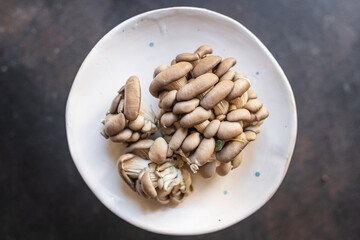 oyster mushroom raw mushrooms meal snack diet vegan or vegetarian food copy space food background rustic. top view keto or paleo diet