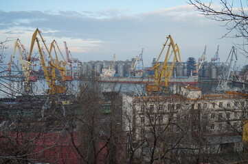 Fototapeta na wymiar View of the Odessa port from the observation deck of Shevchenko Park.