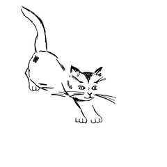 Vector hand drawn illustration of a small cat  jumping. Sketch.