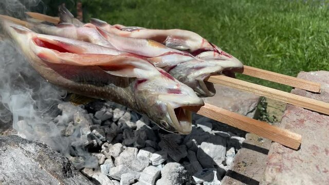 Grillen von Saiblingen &uuml;ber die Holzkohle.