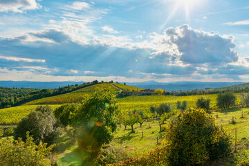 scenic views of the colors of the chianti in tuscany