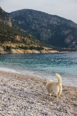 Fototapeta premium My World