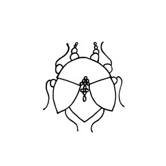 beetle with a pattern for themed decorations