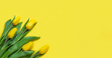 bouquet of yellow tulips on a yellow background copy space