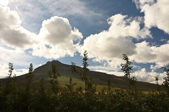A composition of apple trees and dramatic clouds framing the Tierberg Mountain near Ceres in the Western Cape