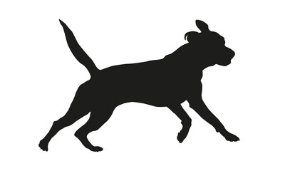 Black dog silhouette. Running american pit bull terrier puppy. Isolated on a white background.