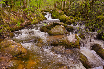 Fototapeta premium The Gertelbach waterfall in the Bühler valley, Northern Black Forest. Baden-Wuerttemberg, Germany, Europe
