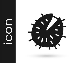 Black Chestnut icon isolated on white background. Barbed and strong chestnut. Vector