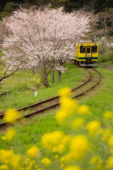 Obraz premium いすみ鉄道の春