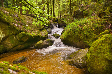 Obraz premium The Gertelbach waterfall in the Bühler valley, Northern Black Forest. Baden-Wuerttemberg, Germany, Europe